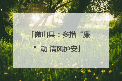 微山县：多措“廉”动 清风护安