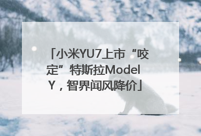 小米YU7上市“咬定”特斯拉Model Y，智界闻风降价