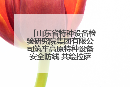 山东省特种设备检验研究院集团有限公司筑牢高原特种设备安全防线 共绘拉萨美好生活画卷