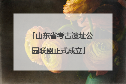 山东省考古遗址公园联盟正式成立