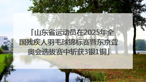 山东省运动员在2025年全国残疾人羽毛球锦标赛暨东京聋奥会选拔赛中斩获3银1铜