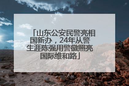 山东公安民警亮相国新办，24年从警生涯陈强用警徽照亮国际维和路