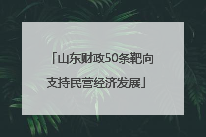 山东财政50条靶向支持民营经济发展