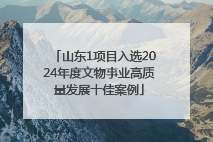 山东1项目入选2024年度文物事业高质量发展十佳案例