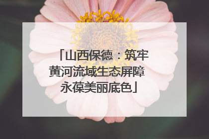 山西保德：筑牢黄河流域生态屏障 永葆美丽底色
