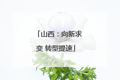 山西：向新求变 转型提速