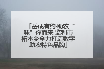 岳成有约·助农“味”你而来 监利市柘木乡全力打造数字助农特色品牌