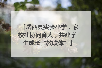 岳西县实验小学：家校社协同育人，共建学生成长“教联体”