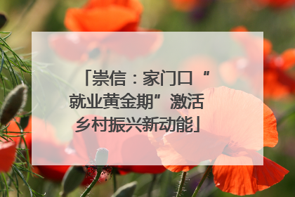 崇信：家门口“就业黄金期”激活乡村振兴新动能