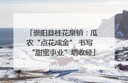 崇阳县桂花泉镇：瓜农“点花成金” 书写“甜蜜事业”增收经