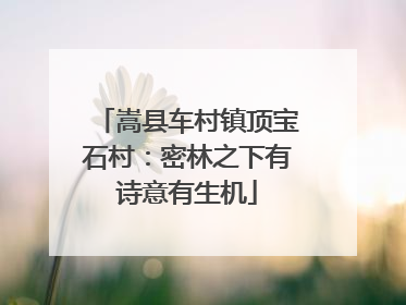 嵩县车村镇顶宝石村：密林之下有诗意有生机