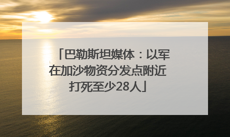 巴勒斯坦媒体：以军在加沙物资分发点附近打死至少28人