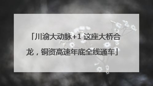 川渝大动脉+1 这座大桥合龙，铜资高速年底全线通车