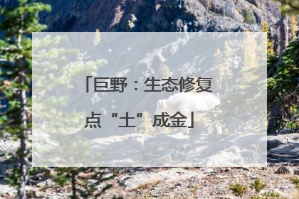 巨野：生态修复点“土”成金