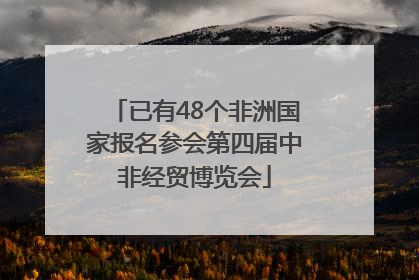 已有48个非洲国家报名参会第四届中非经贸博览会
