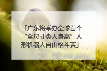 广东将举办全球首个“全尺寸类人身高”人形机器人自由格斗赛