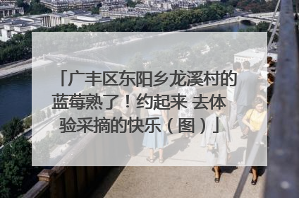 广丰区东阳乡龙溪村的蓝莓熟了！约起来 去体验采摘的快乐（图）