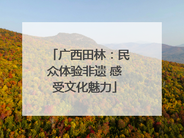 广西田林：民众体验非遗 感受文化魅力
