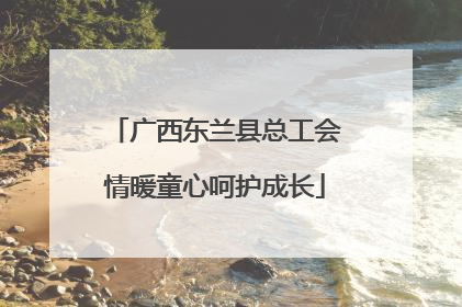 广西东兰县总工会情暖童心呵护成长