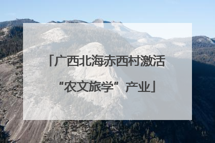 广西北海赤西村激活“农文旅学”产业