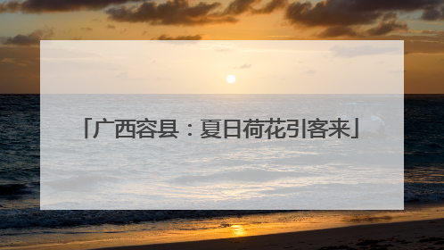 广西容县：夏日荷花引客来