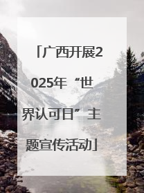 广西开展2025年“世界认可日”主题宣传活动