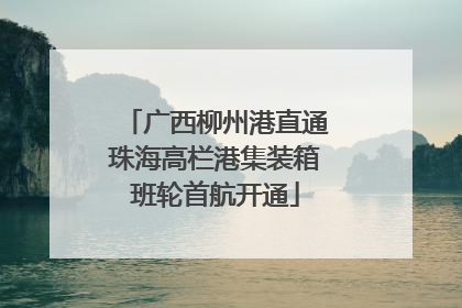 广西柳州港直通珠海高栏港集装箱班轮首航开通