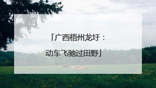 广西梧州龙圩：动车飞驰过田野