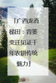 广西龙脊梯田：背篓变迁见证千年农耕传统魅力