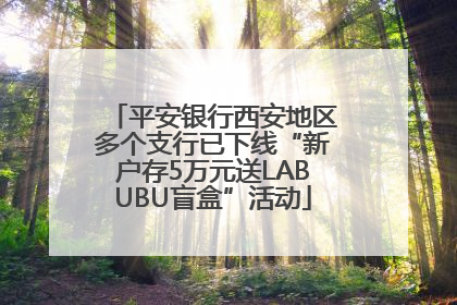 平安银行西安地区多个支行已下线“新户存5万元送LABUBU盲盒”活动