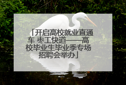 开启高校就业直通车 枣工快道——高校毕业生毕业季专场招聘会举办