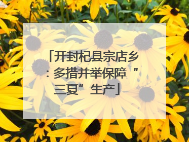 开封杞县宗店乡：多措并举保障“三夏”生产