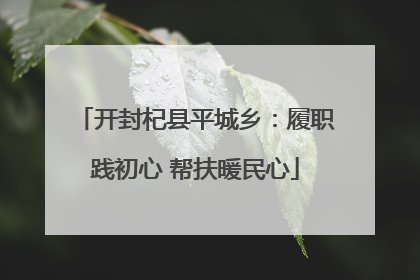 开封杞县平城乡：履职践初心 帮扶暖民心