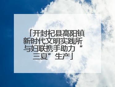 开封杞县高阳镇新时代文明实践所与妇联携手助力“三夏”生产