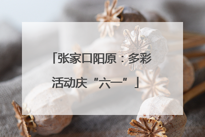 张家口阳原：多彩活动庆“六一”