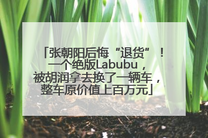 张朝阳后悔“退货”！一个绝版Labubu，被胡润拿去换了一辆车，整车原价值上百万元