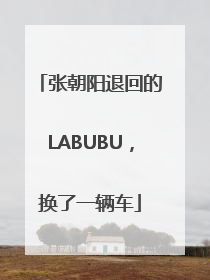 张朝阳退回的LABUBU，换了一辆车
