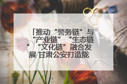 推动“警务链”与“产业链”“生态链”“文化链”融合发展 甘肃公安打造陇原旅游警务品牌