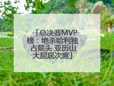 总决赛MVP榜：绝杀哈利独占鳌头 亚历山大屈居次席