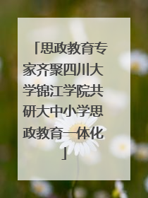 思政教育专家齐聚四川大学锦江学院共研大中小学思政教育一体化