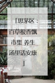 思茅区：百草根香飘市集 养生汤里话安康