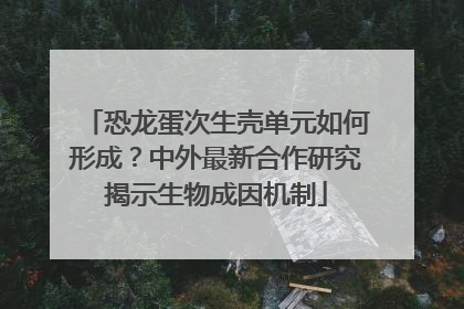 恐龙蛋次生壳单元如何形成？中外最新合作研究揭示生物成因机制