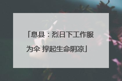 息县：烈日下工作服为伞 撑起生命阴凉