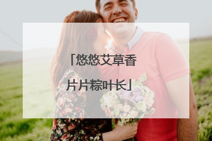 悠悠艾草香 片片粽叶长