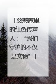 慈悲庵里的红色传声人：“我们守护的不仅是文物”