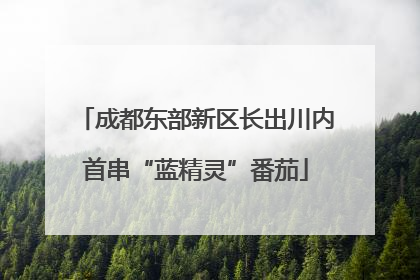 成都东部新区长出川内首串“蓝精灵”番茄