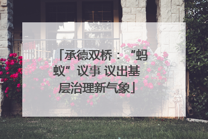 承德双桥：“蚂蚁”议事 议出基层治理新气象