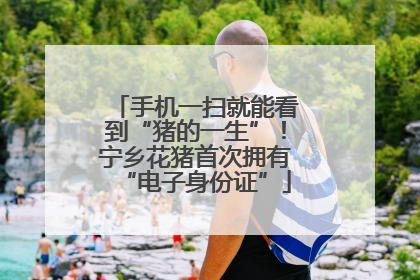手机一扫就能看到“猪的一生”！宁乡花猪首次拥有“电子身份证”