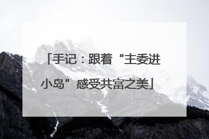 手记：跟着“主委进小岛”感受共富之美