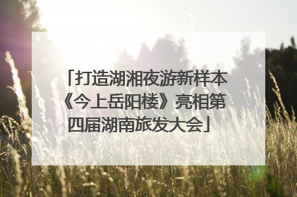打造湖湘夜游新样本《今上岳阳楼》亮相第四届湖南旅发大会